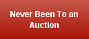 Never Been To an Auction.html